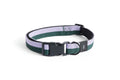 Hay Dog Collar